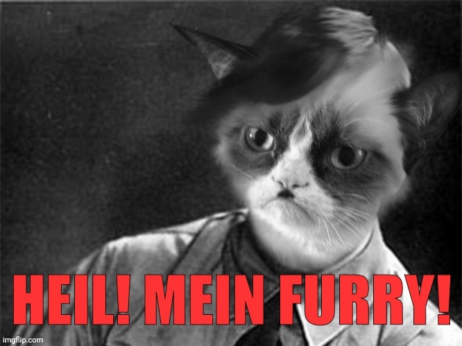 Kitler | image tagged in grumpy cat,hitler | made w/ Imgflip meme maker