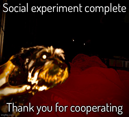 If you don’t get it, check last post | Social experiment complete; Thank you for cooperating | made w/ Imgflip meme maker