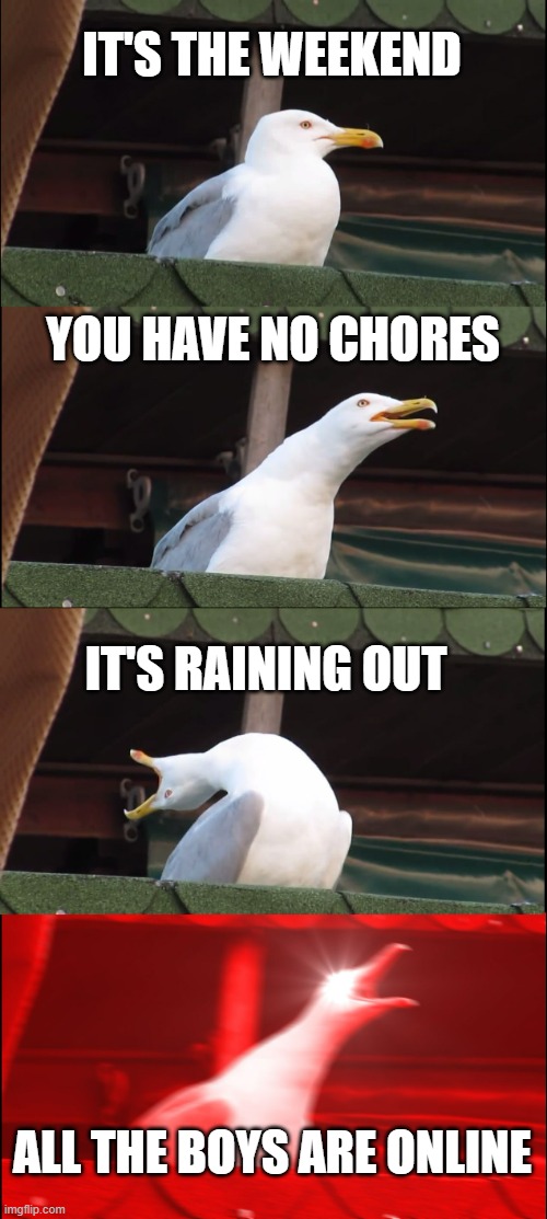 Inhaling Seagull | IT'S THE WEEKEND; YOU HAVE NO CHORES; IT'S RAINING OUT; ALL THE BOYS ARE ONLINE | image tagged in memes,inhaling seagull | made w/ Imgflip meme maker
