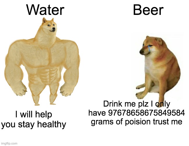 Why is this so true? | Water; Beer; Drink me plz I only have 97678658675849584 grams of poision trust me; I will help you stay healthy | image tagged in memes,buff doge vs cheems | made w/ Imgflip meme maker