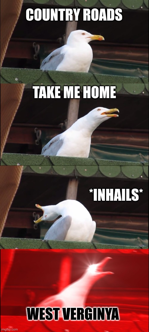 Inhaling Seagull Meme | COUNTRY ROADS; TAKE ME HOME; *INHAILS*; WEST VERGINYA | image tagged in memes,inhaling seagull | made w/ Imgflip meme maker