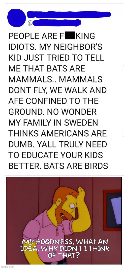 this idiot thinks bats are birds | image tagged in funny,bats,meme,why are you reading the tags | made w/ Imgflip meme maker