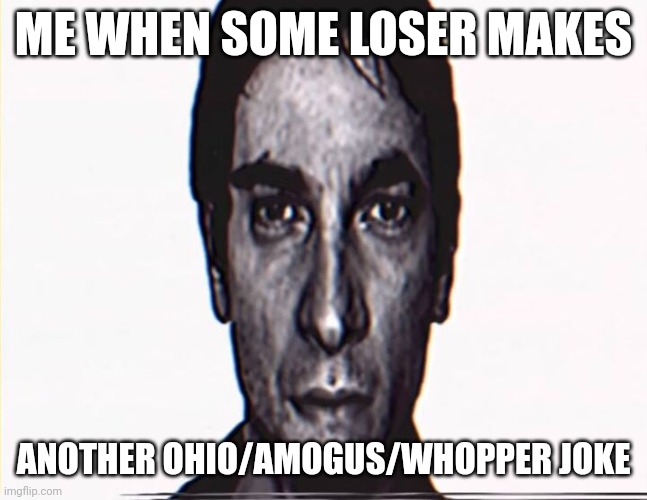 YOU'RE NOT FUNNY!!! | ME WHEN SOME LOSER MAKES; ANOTHER OHIO/AMOGUS/WHOPPER JOKE | image tagged in unfunny | made w/ Imgflip meme maker