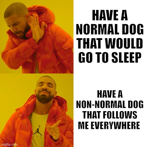 Drake Hotline Bling Meme | HAVE A NORMAL DOG THAT WOULD GO TO SLEEP HAVE A NON-NORMAL DOG THAT FOLLOWS ME EVERYWHERE | image tagged in memes,drake hotline bling | made w/ Imgflip meme maker