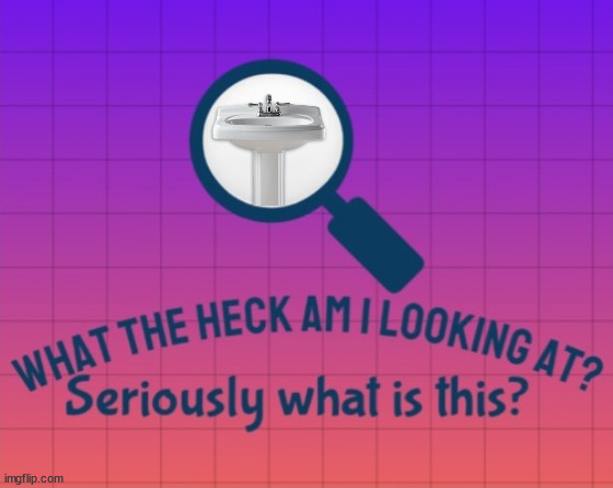What the heck am I looking at? Seriously what is this? | image tagged in what the heck am i looking at seriously what is this | made w/ Imgflip meme maker