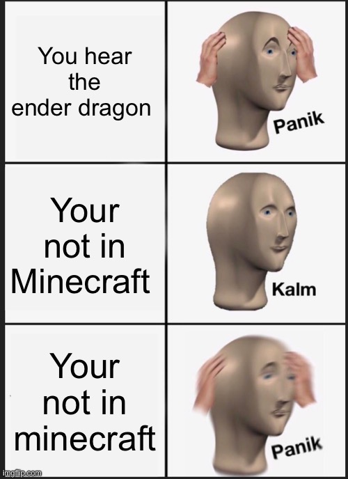 Panik Kalm Panik | You hear the ender dragon; Your not in Minecraft; Your not in Minecraft | image tagged in memes,panik kalm panik | made w/ Imgflip meme maker