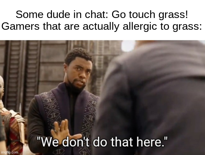 Gamers can finally touch grass : r/memes