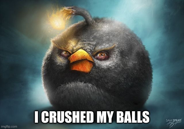 angry birds bomb | I CRUSHED MY BALLS | image tagged in angry birds bomb | made w/ Imgflip meme maker