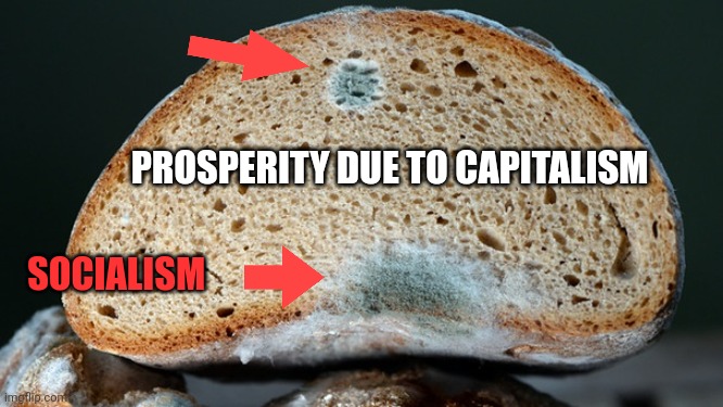Parasite | PROSPERITY DUE TO CAPITALISM; SOCIALISM | image tagged in socialism,capitalism | made w/ Imgflip meme maker