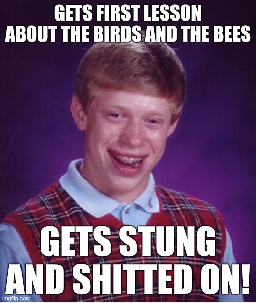 Bad Luck Brian Meme | GETS FIRST LESSON ABOUT THE BIRDS AND THE BEES; GETS STUNG AND SHITTED ON! | image tagged in memes,bad luck brian | made w/ Imgflip meme maker