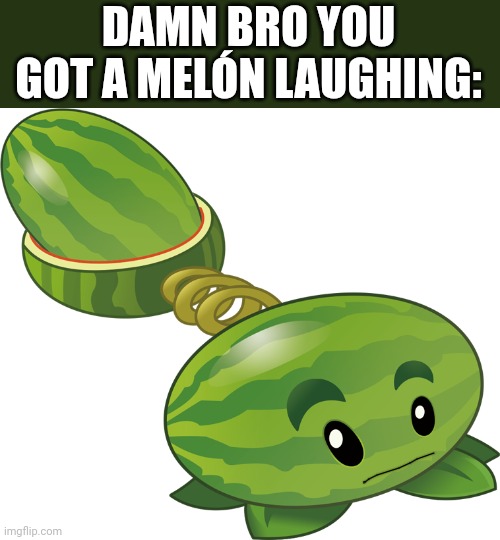 Mellon-Pult | DAMN BRO YOU GOT A MELÓN LAUGHING: | image tagged in mellon-pult | made w/ Imgflip meme maker