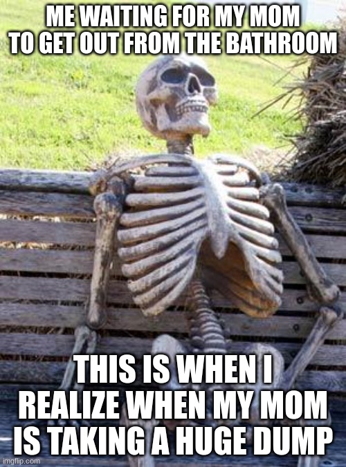 bathroom | ME WAITING FOR MY MOM TO GET OUT FROM THE BATHROOM; THIS IS WHEN I REALIZE WHEN MY MOM IS TAKING A HUGE DUMP | image tagged in memes,waiting skeleton | made w/ Imgflip meme maker