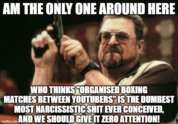release the bees | AM THE ONLY ONE AROUND HERE; WHO THINKS "ORGANISED BOXING MATCHES BETWEEN YOUTUBERS" IS THE DUMBEST MOST NARCISSISTIC SHIT EVER CONCEIVED, AND WE SHOULD GIVE IT ZERO ATTENTION! | image tagged in memes,am i the only one around here | made w/ Imgflip meme maker