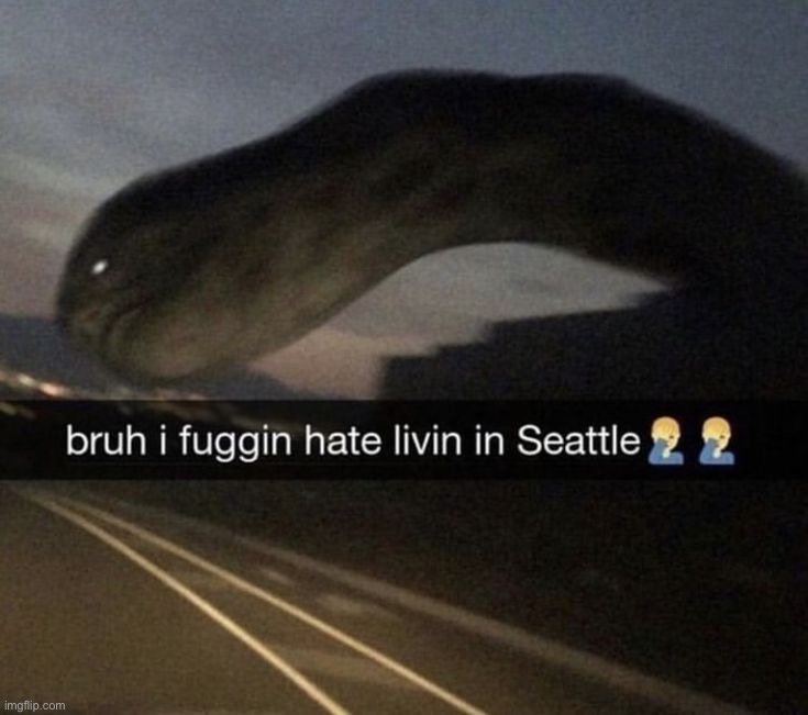 Only in Seattle bruh | image tagged in memes | made w/ Imgflip meme maker
