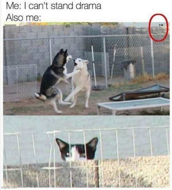image tagged in memes,funny,repost | made w/ Imgflip meme maker