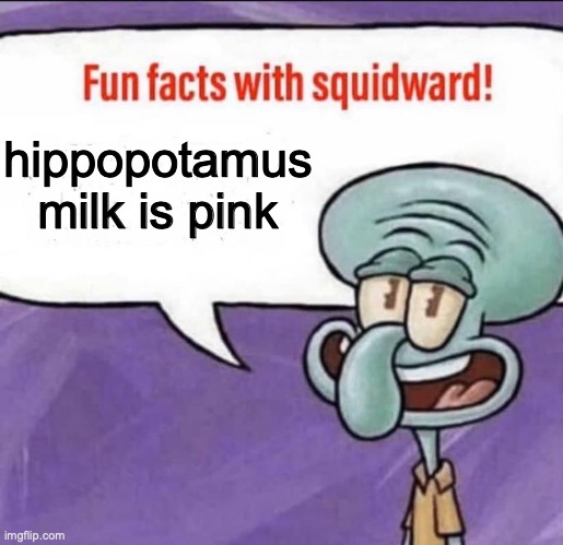 Fun Facts with Squidward | hippopotamus milk is pink | image tagged in fun facts with squidward | made w/ Imgflip meme maker