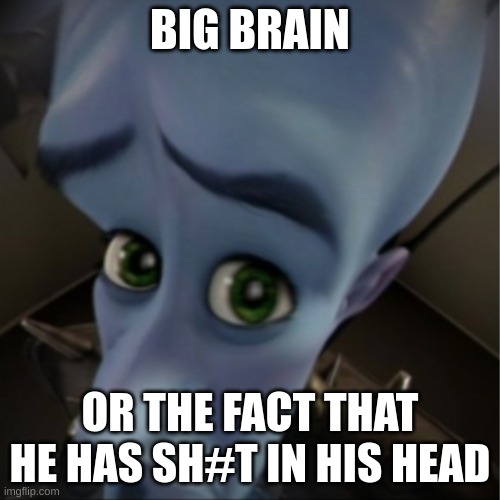 Megamind peeking | BIG BRAIN; OR THE FACT THAT HE HAS SH#T IN HIS HEAD | image tagged in megamind peeking | made w/ Imgflip meme maker