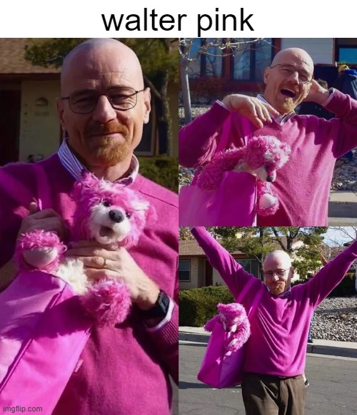 walter pink | walter pink | image tagged in wholesome | made w/ Imgflip meme maker