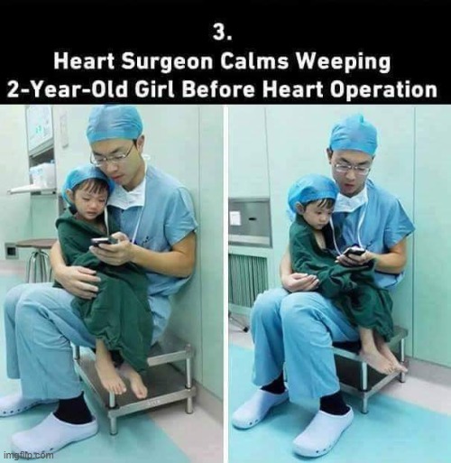 image tagged in wholesome | made w/ Imgflip meme maker