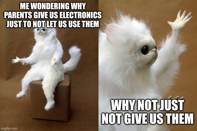 logic | ME WONDERING WHY PARENTS GIVE US ELECTRONICS JUST TO NOT LET US USE THEM; WHY NOT JUST NOT GIVE US THEM | image tagged in memes,persian cat room guardian | made w/ Imgflip meme maker