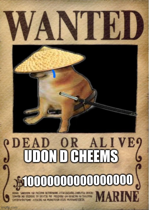 One piece wanted poster template | UDON D CHEEMS; 10000000000000000 | image tagged in one piece wanted poster template | made w/ Imgflip meme maker