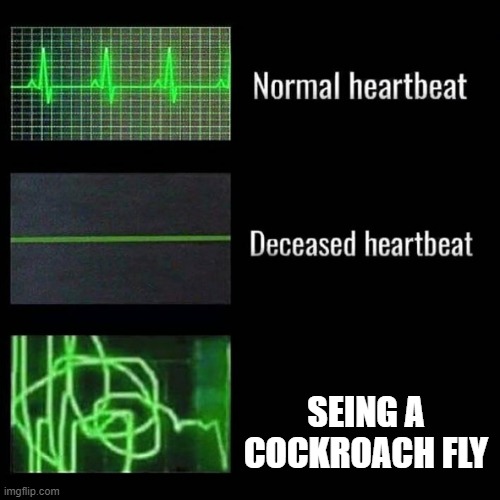heart beat | SEING A COCKROACH FLY | image tagged in heart beat | made w/ Imgflip meme maker