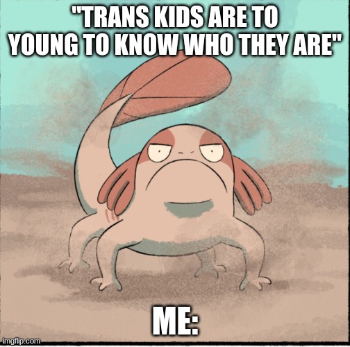 they have the mental copasity to know what their feeling sharron | "TRANS KIDS ARE TO YOUNG TO KNOW WHO THEY ARE"; ME: | made w/ Imgflip meme maker