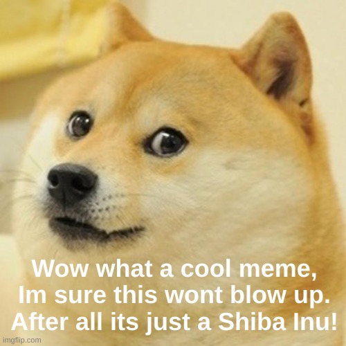 yea.. about that chief | Wow what a cool meme, Im sure this wont blow up. After all its just a Shiba Inu! | image tagged in memes,doge,chief,doge 2,dog,shiba inu | made w/ Imgflip meme maker