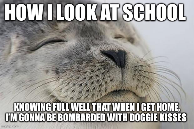 Doggie | HOW I LOOK AT SCHOOL; KNOWING FULL WELL THAT WHEN I GET HOME, I’M GONNA BE BOMBARDED WITH DOGGIE KISSES | image tagged in memes,satisfied seal | made w/ Imgflip meme maker