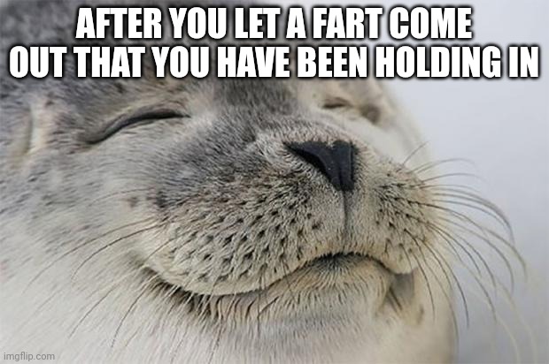 Relate able?? | AFTER YOU LET A FART COME OUT THAT YOU HAVE BEEN HOLDING IN | image tagged in memes,satisfied seal | made w/ Imgflip meme maker