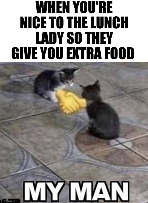 Its great when this happens! (Assuming your school food is good...) | WHEN YOU'RE NICE TO THE LUNCH LADY SO THEY GIVE YOU EXTRA FOOD | image tagged in cats shaking hands,memes,school,relatable,so true memes,yessir | made w/ Imgflip meme maker