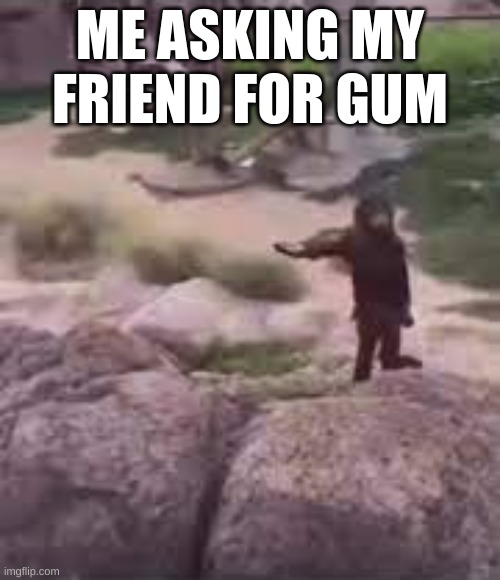 ME ASKING MY FRIEND FOR GUM | image tagged in memes | made w/ Imgflip meme maker