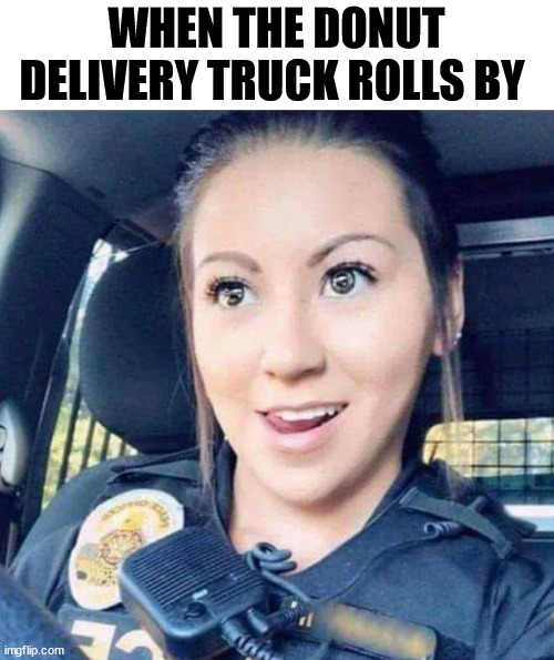 WHEN THE DONUT DELIVERY TRUCK ROLLS BY | image tagged in cop donut truck | made w/ Imgflip meme maker