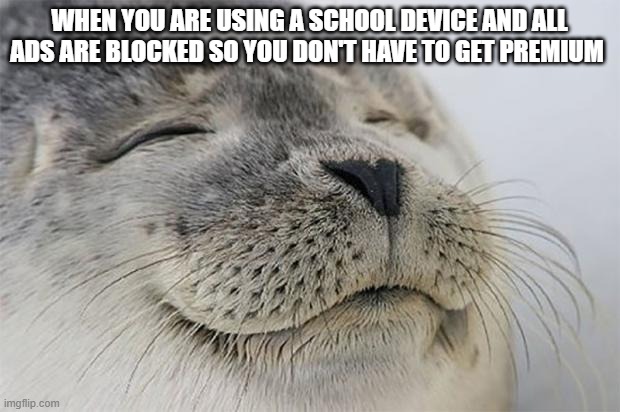 The one plus to stuff being blocked on school devices | WHEN YOU ARE USING A SCHOOL DEVICE AND ALL ADS ARE BLOCKED SO YOU DON'T HAVE TO GET PREMIUM | image tagged in memes,satisfied seal,school,ads | made w/ Imgflip meme maker