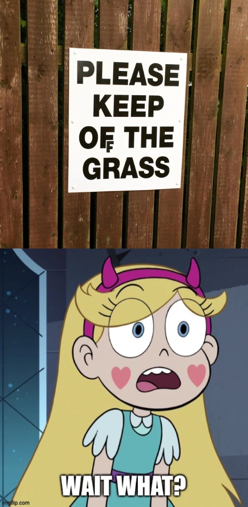 Fixed it | image tagged in star butterfly wait what,star vs the forces of evil,you had one job,memes | made w/ Imgflip meme maker