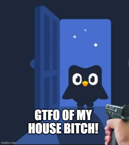 GTFO of my house! | GTFO OF MY HOUSE BITCH! | image tagged in duolingo bird | made w/ Imgflip meme maker