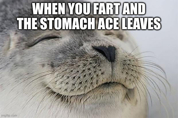 aahhhhhhh | WHEN YOU FART AND THE STOMACH ACE LEAVES | image tagged in memes,satisfied seal | made w/ Imgflip meme maker