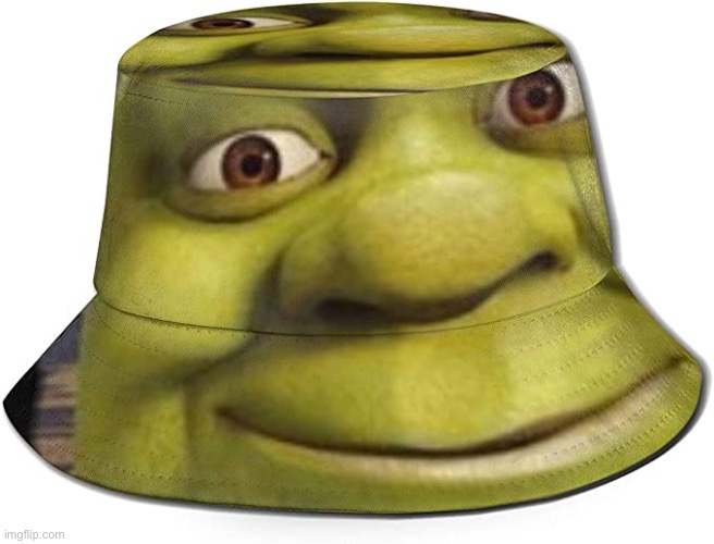 SHREK BUCKET HAT!!?!? | made w/ Imgflip meme maker