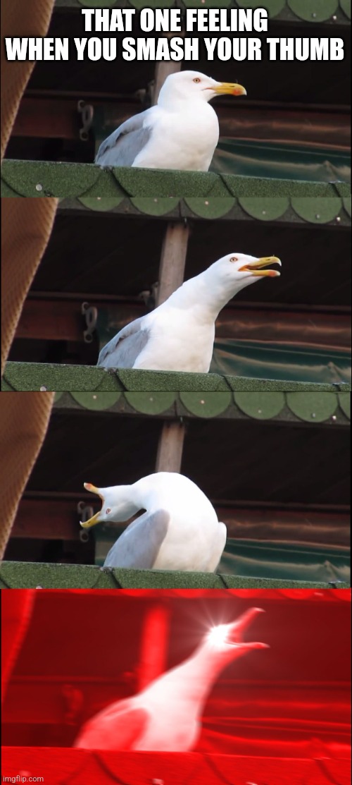 Rip | THAT ONE FEELING WHEN YOU SMASH YOUR THUMB | image tagged in memes,inhaling seagull | made w/ Imgflip meme maker