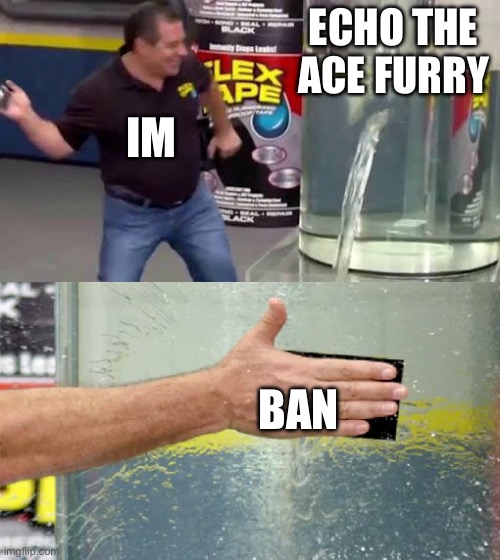 Flex Tape | ECHO THE ACE FURRY; IM; BAN | image tagged in flex tape | made w/ Imgflip meme maker