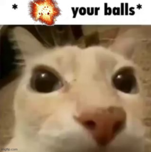 X your balls | image tagged in x your balls | made w/ Imgflip meme maker