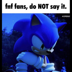 High Quality fnf fans do not say it Blank Meme Template