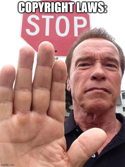 Arnold Schwarzenegger Stop | COPYRIGHT LAWS: | image tagged in arnold schwarzenegger stop | made w/ Imgflip meme maker