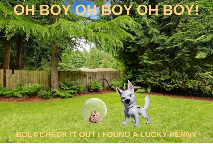 rhino's lucky penny | OH BOY OH BOY OH BOY! BOLT CHECK IT OUT I FOUND A LUCKY PENNY | image tagged in sunny backyard,disney,dogs,hamster,penny | made w/ Imgflip meme maker