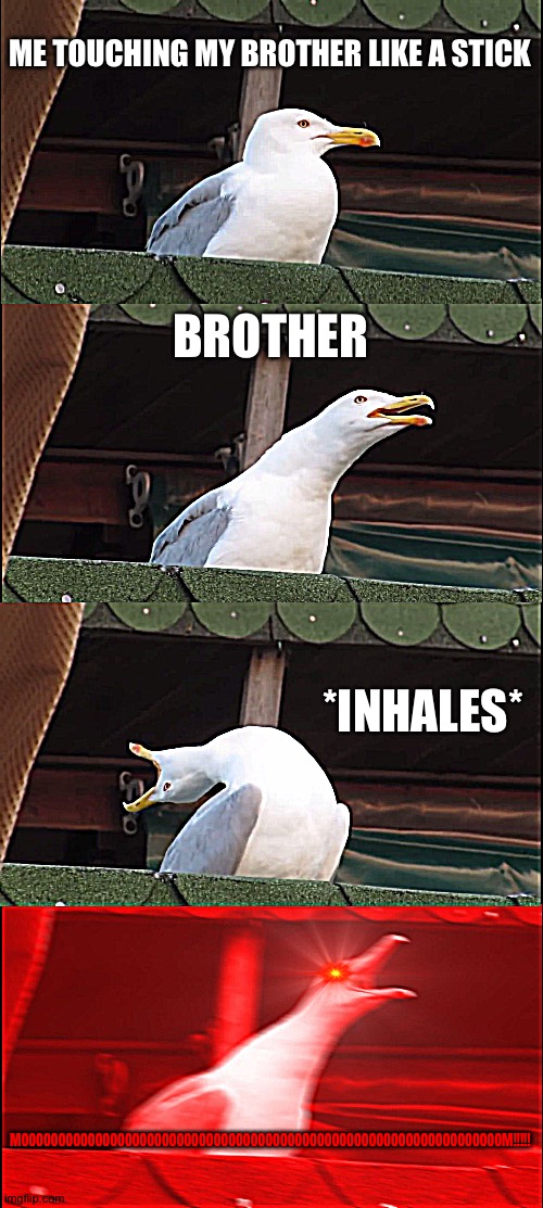 my little brother always keeps yelling "MOM" when I touch him gently because he doesn't know about how you feel when touched | ME TOUCHING MY BROTHER LIKE A STICK; BROTHER; *INHALES*; MOOOOOOOOOOOOOOOOOOOOOOOOOOOOOOOOOOOOOOOOOOOOOOOOOOOOOOOOOOOOOOOOOM!!!!! | image tagged in memes,inhaling seagull | made w/ Imgflip meme maker