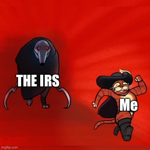 RUNNNN | THE IRS; Me | image tagged in puss running from death | made w/ Imgflip meme maker