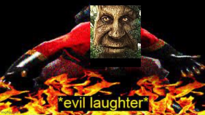 *evil laughter* | image tagged in evil laughter | made w/ Imgflip meme maker