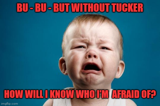 BABY CRYING | BU - BU - BUT WITHOUT TUCKER; HOW WILL I KNOW WHO I'M  AFRAID OF? | image tagged in baby crying | made w/ Imgflip meme maker
