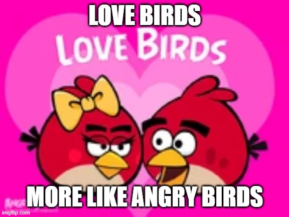 LOVE BIRDS MORE LIKE ANGRY BIRDS | made w/ Imgflip meme maker