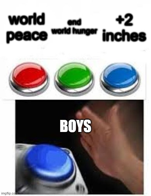 butttons | world peace; end world hunger; +2 inches; BOYS | image tagged in multiple buttons,memes | made w/ Imgflip meme maker